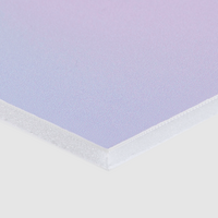 Leichtschaumplatte, farbig bedruckt, detail