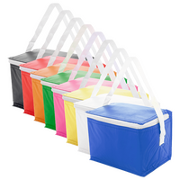 Lunch-Kühltasche, ohne Werbeanbringung