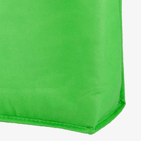 Non-Woven-Kühltasche mit Reißverschluss, ohne Werbeanbringung