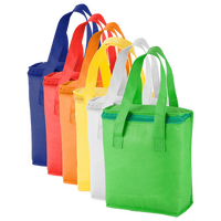 Non-Woven-Kühltasche mit Reißverschluss, ohne Werbeanbringung