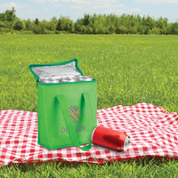 Non-Woven-Kühltasche mit Reißverschluss