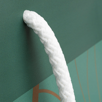Papiertragetaschen mit PP-Kordeln, 18 x 22,5 x 9 cm