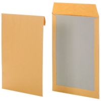 Papprückwandtasche (42 x 32 cm), haftklebend ohne Fenster, unbedruckt braun mit grauer Papprückwand