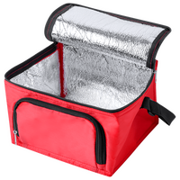 Picknick-Kühltasche aus Polyester mit Reißverschlussfach, ohne Werbeanbringung