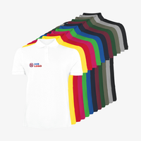 Shirts, Vorderseite, bestickt, verschiedene Farben