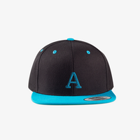 cap, bestickt, 2 farbig