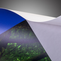 Klebefolie, farbig bedruckt, rechteckig, Jungle Motiv 