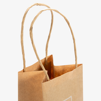 Papiertragetaschen mit Papierkordeln + Weißdruck