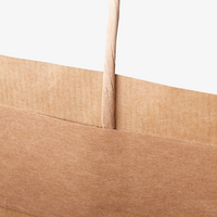 Papiertragetaschen mit Papierkordeln, 18 x 22,5 x 9 cm, 4/0 farbig + Weißdruck