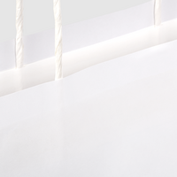 Papiertragetaschen mit Papierkordeln, 25 x 21 x 9 cm, 1/0 farbig