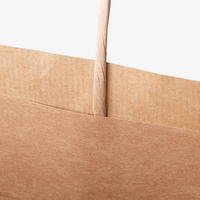 Papiertragetaschen mit Papierkordeln, 25 x 21 x 9 cm, 4/0 farbig + Weißdruck