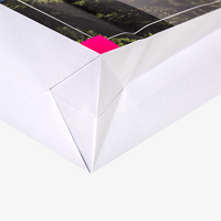 Papiertragetaschen mit Papierkordeln, 48 x 35 x 13 cm, 4/0 farbig