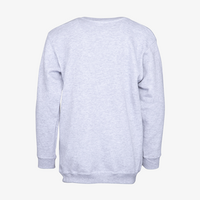 Sweatshirt, farbig bedruckt, Rueckseite