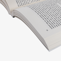 Taschenbuch, 13,5 x 21,5 cm hoch, innen Detail