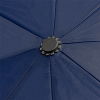 Taschenschirm aus Pongee, offen, details