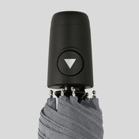 Taschenschirm, Henkel, stehend, Grau