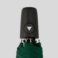 Taschenschirm, Henkel, stehend, Gruen