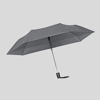 Taschenschirm, geoeffnet , Grau