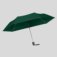 Taschenschirm, geoeffnet , Gruen