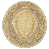 Unisex-Trilby-Palmblatthut mit bedrucktem Hutband