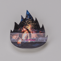 Wahlplakat, farbig bedruckt, liegend, Feuer Form