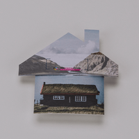 Wahlplakat, farbig bedruckt, liegend, Haus Form