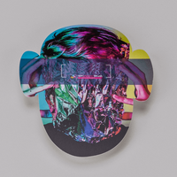 Wahlplakat, farbig bedruckt, liegend, Kopf Form