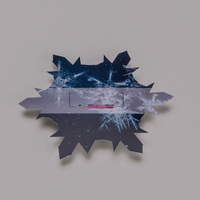 Wahlplakat, farbig bedruckt, liegend, Schneeflocke Form