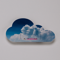 Wahlplakat, farbig bedruckt, liegend, Wolke Form