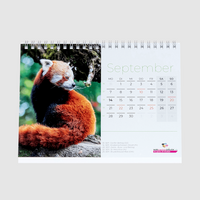 WIRmachenDRUCK-Kalender-Musterset inkl. CHF 10 Rabattcode