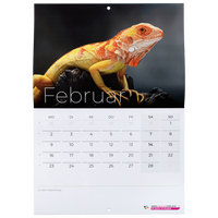 WIRmachenDRUCK-Kalender-Musterset inkl. CHF 10 Rabattcode