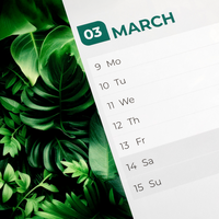 Wochenkalender 58 Seiten 21,0 x 42,0 cm, Designbeispiel