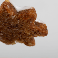 Zimtstern, liegend, mit Zuckerguss